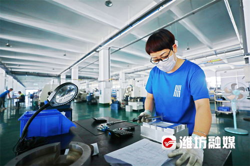 濰坊企業家榮膺歐洲自然科學院院士，技術創新引領產業發展